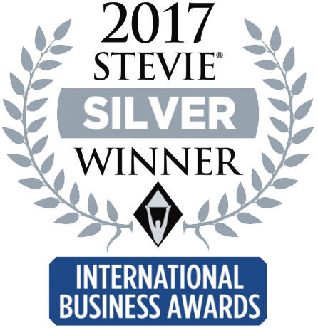 Stevie Silver Winner